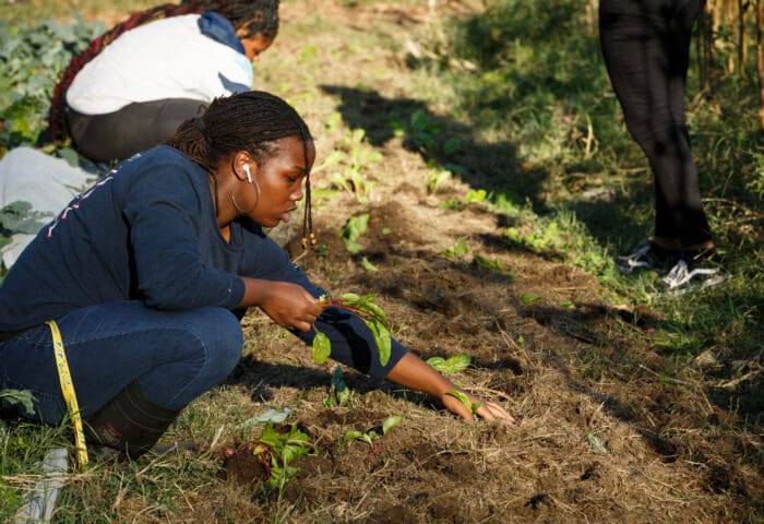 SWWAG Workshop: Soil with Supreme Compost