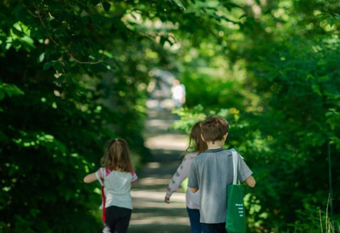 Homeschooler Days: Mapping the Garden