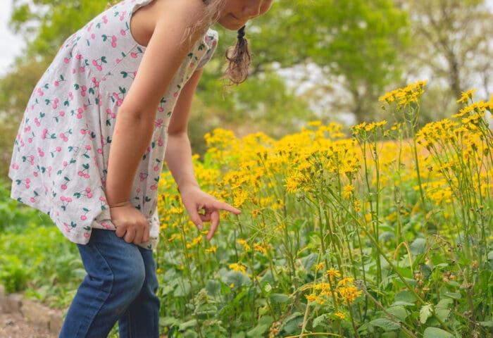 Little Explorers: Flowers!