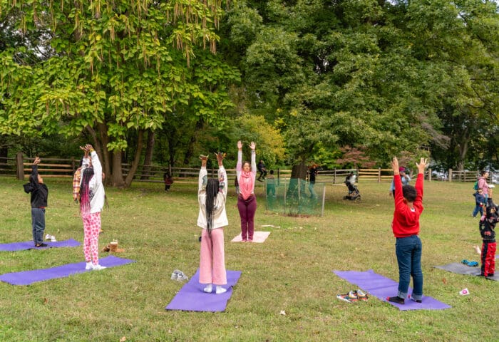 Meditations in the Garden: Shielding Meditation for Emotional Strength