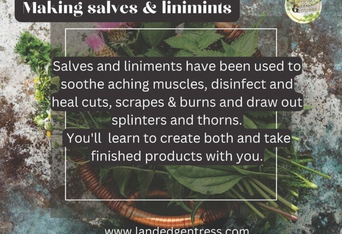 Salves & Liniments