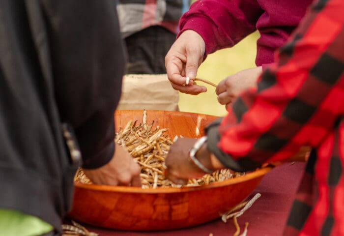 SWWAG Workshop: Seedkeeping