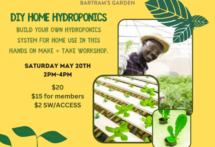 DIY Hydroponics Workshop